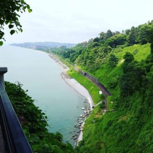 الحديقة النباتية