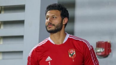 محمد الشناوى
