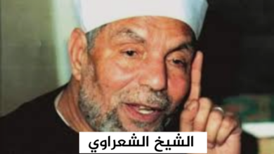 الشيخ الشعراوي