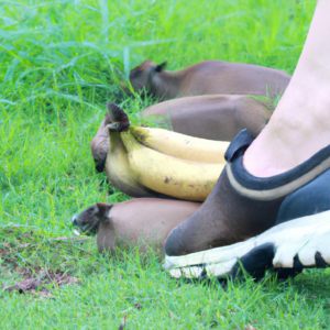 الاستعمال الزائد للانواع الحية التي لها قيمة اقتصادية