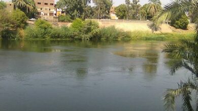 ترعة _ ارشيفية