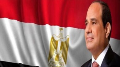 مصر تستضيف قمة دول جوار السودان في 13 يوليو الجاري