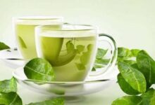 الفوائد الصحية لشرب الشاي الأخضر يوميا