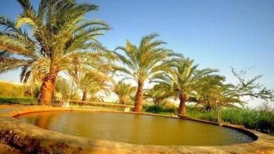 جزاء الصابرين