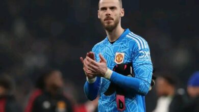 دافيد دي خيا