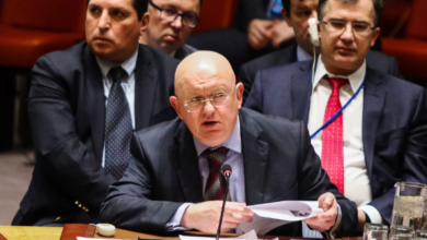 فاسيلي نيبينزيا