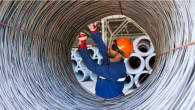 تعاون بين الإمارات والبحرين