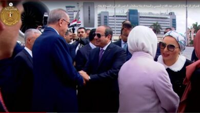 السيسي وأردوغان