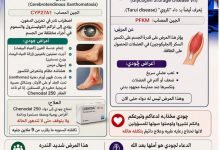 جودي أحمد حسن