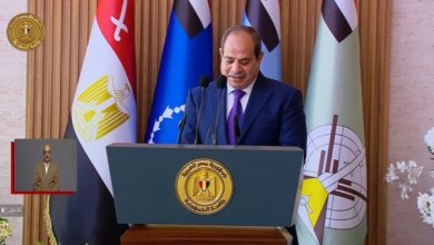 السيسي